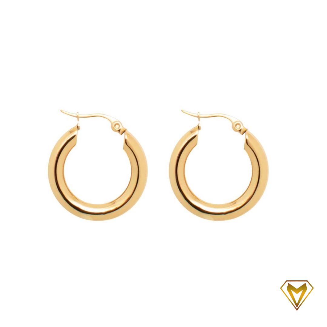 Anneau Earrings