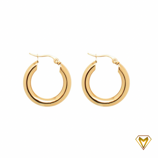 Anneau Earrings